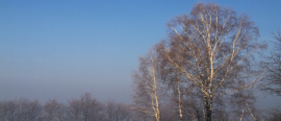 Blog Posts