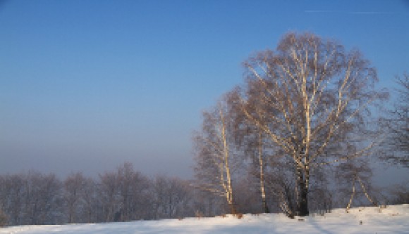 Blog Posts