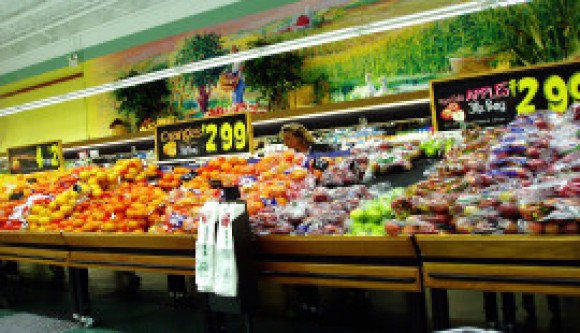 Grocery Budget