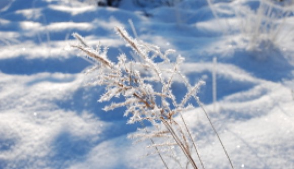 Blog Posts