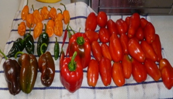 fresh produce