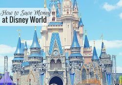 Disney World is a lot of fun, but it also costs a lot of money. I share how we saved money at Disney in one sense, but grossly overpaid in another sense.