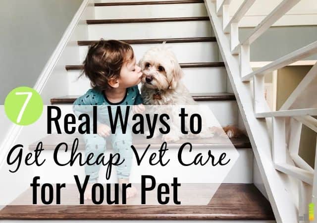 Do you wonder how you can find cheap vet care near me? It’s possible, with some work. Here are the 7 best ways to find cheap vets who offer quality care.