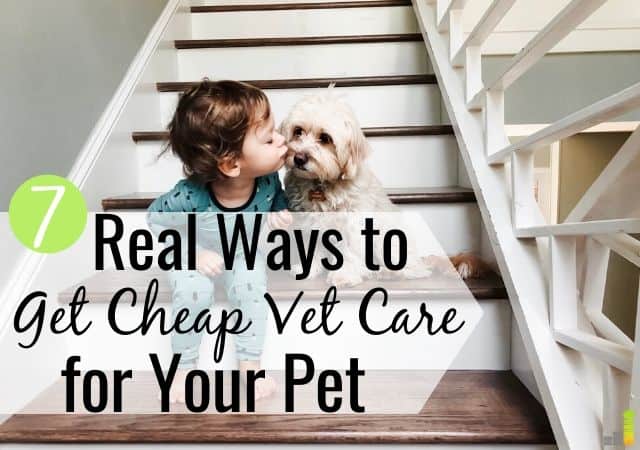 7 Ways to Find Cheap Vet Care Near Me