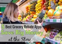 The best grocery rebate apps let you save money on groceries and more. Here are the 5 best cash back grocery apps that put more money in your pocket.