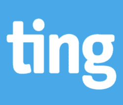 ting logo