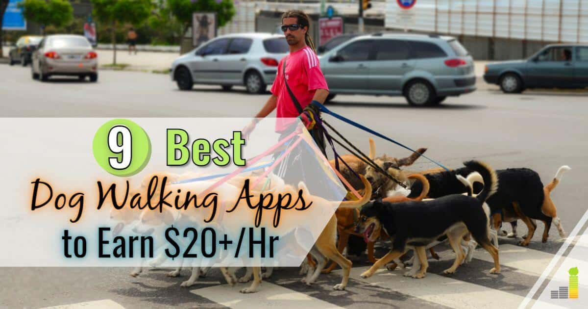 9 Best Dog Walking Jobs | Top Apps to Make Money Walking Dogs