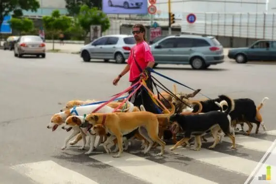 Do you love dogs? Dog walking jobs let you make money while helping furry friends. Here are the 9 best dog walking apps to use to make extra money.