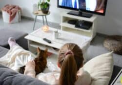 Want to know how to watch Lifetime without cable? Here are 5 ways to get your favorite shows and movies without paying for cable.