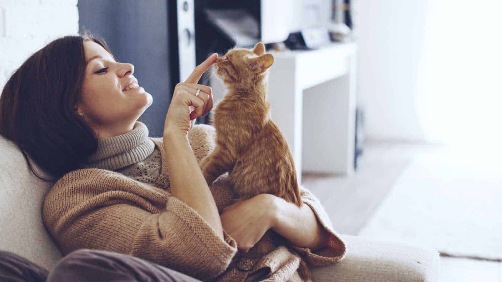 Woman playing with cat