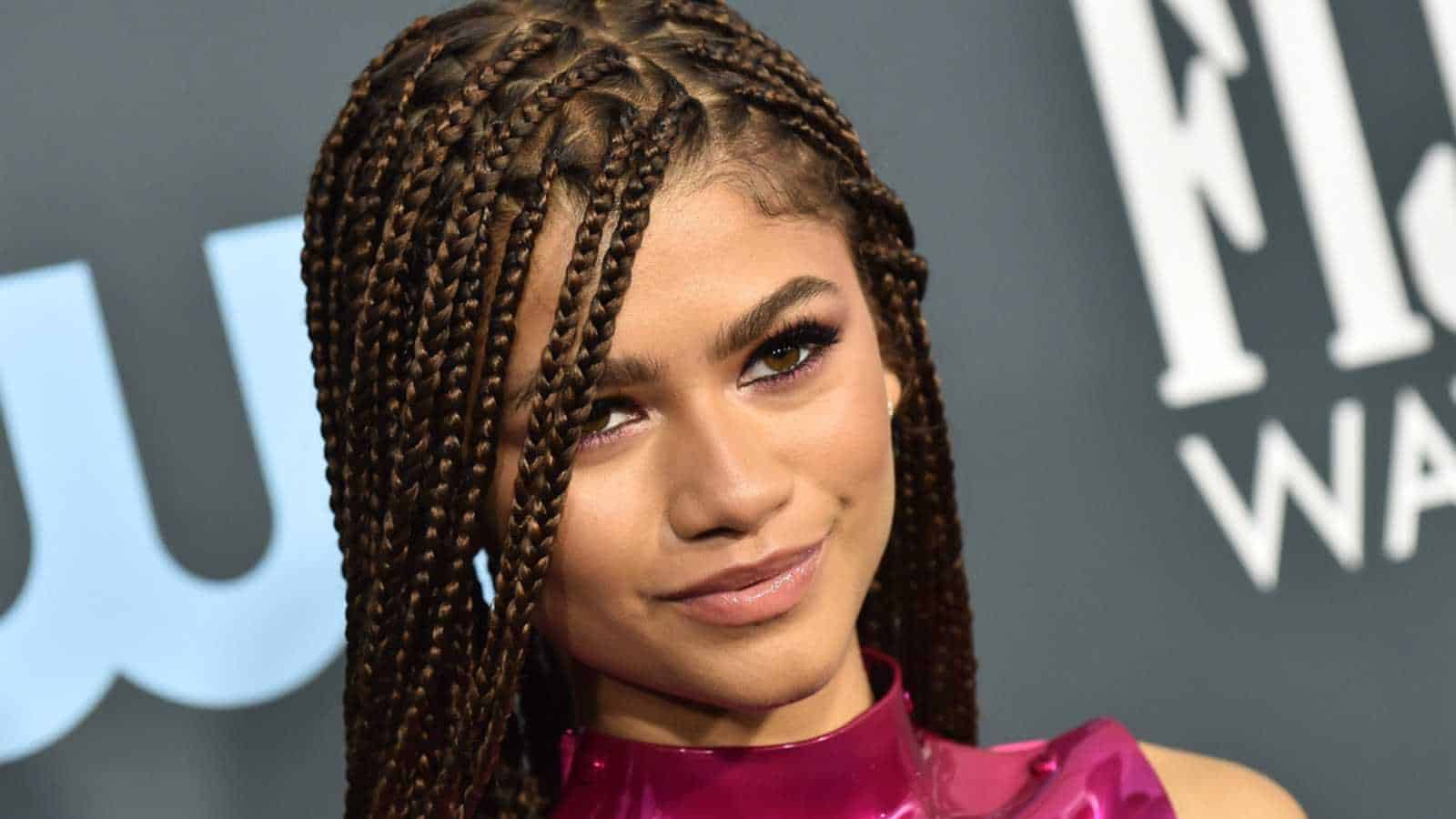 LOS ANGELES - JAN 12: Zendaya Coleman arrives for the 25th Annual Critics' Choice Awards on January 12, 2020 in Santa Monica, CA
