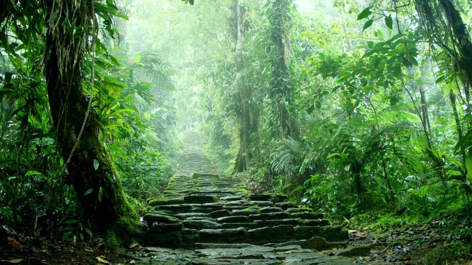 ciudad perdida cidade perdida escada escondida