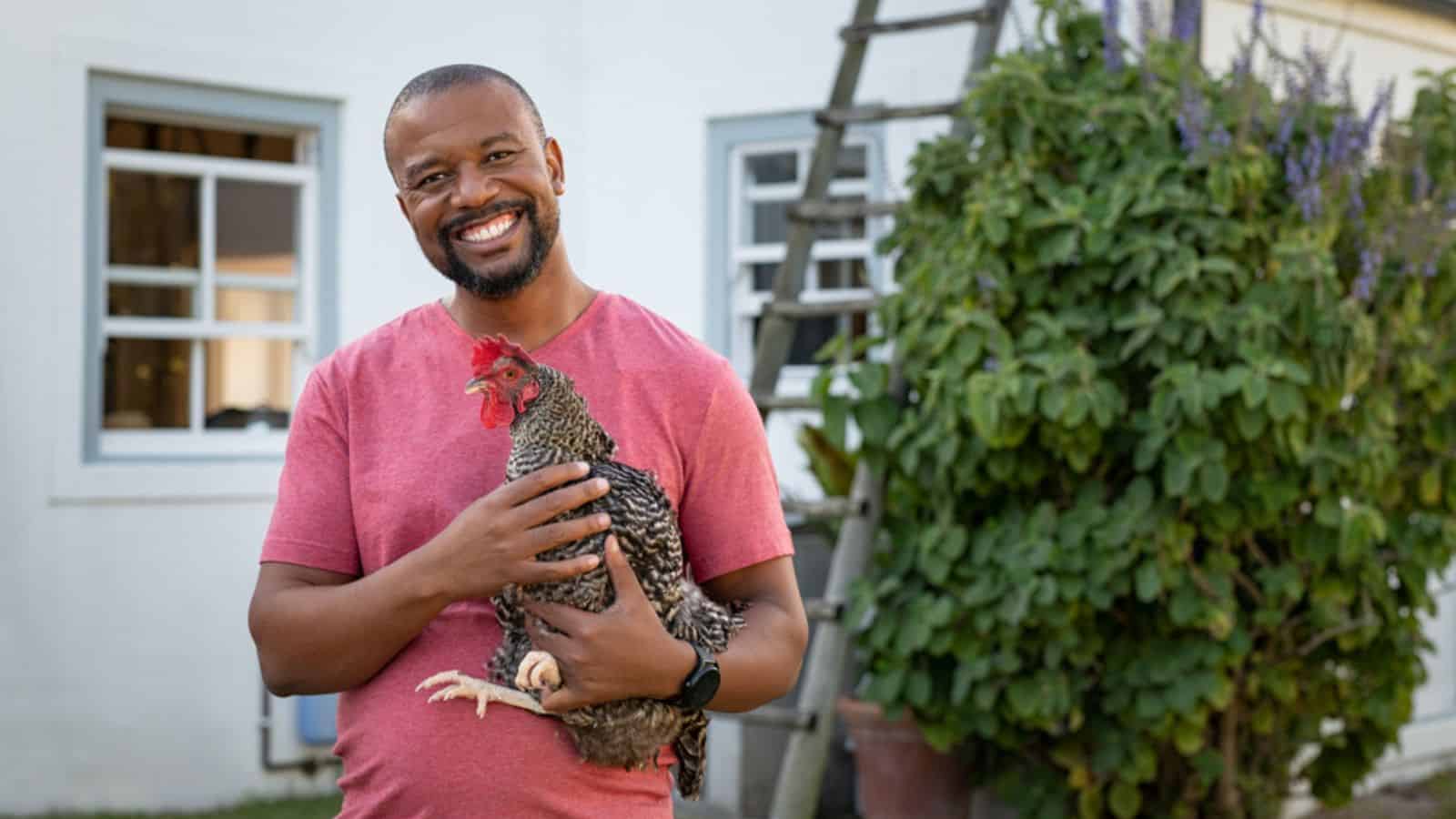 chicken farm