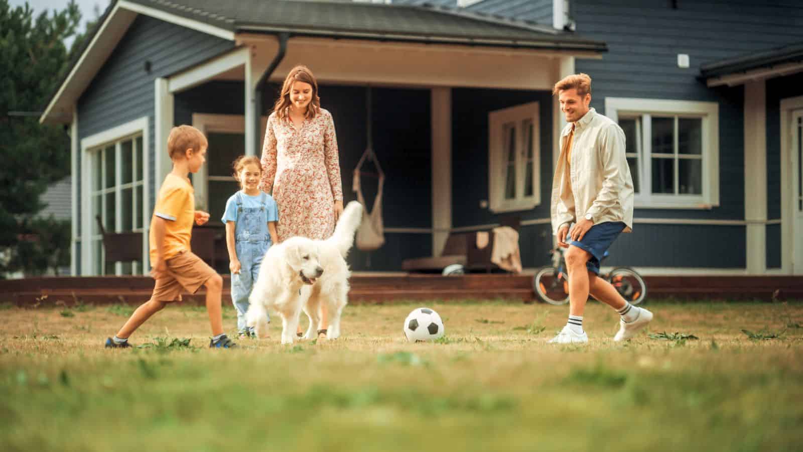 family playing in a yard